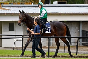LOT 97 - Proisir&ndash; Twenty One TimesColtBreeze Up 10.31