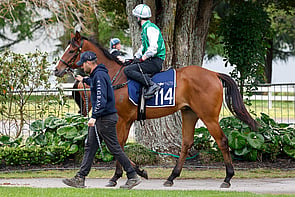 Lot 114 - Justify &ndash; Whistle BabyGeldingBreeze Up 10.83