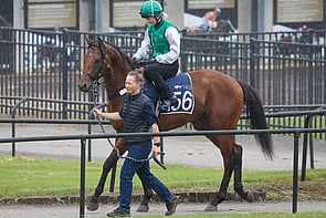 LOT 156 - Justify&ndash; Award WinnerColtBreeze Up 11.00