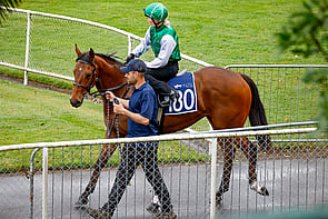 LOT 180 - Zousain &ndash; BroadwayandseventhGeldingBreeze Up 10.40
