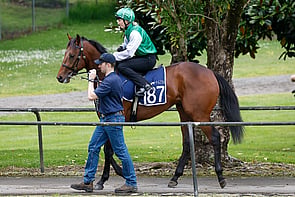 Lot 187 - Farnan &ndash; Caesar's PrincessColtBreeze Up 10.41