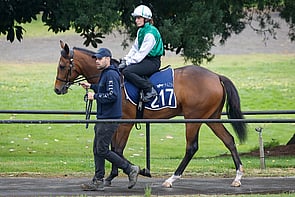 Lot 217 - Staphanos&ndash; CreativeFillyBreeze Up 11.62