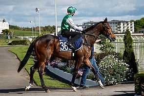 LOT 362 - Staphanos &ndash; Magical RealismGeldingBreeze Up 10.51