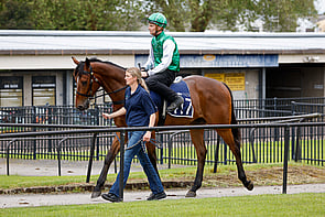 LOT 417 - Satono Aladdin &ndash; PacificGeldingBreeze Up 10.30