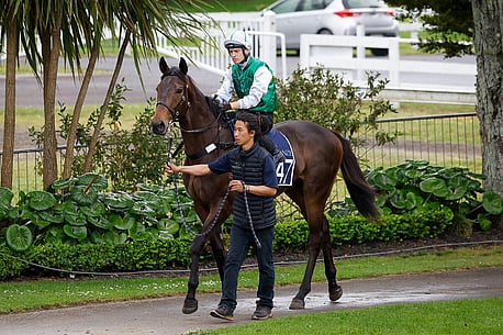 LOT 447 - Redwood &ndash; RapidamenteGeldingBreeze Up 10.82