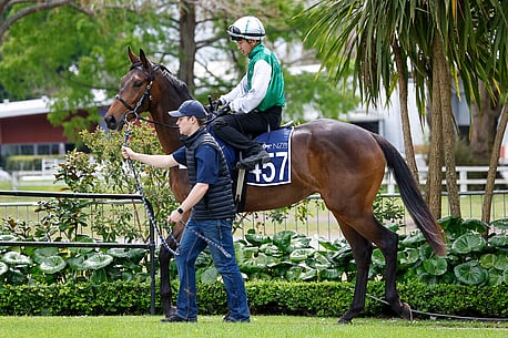 LOT 457 - Sweynesse &ndash; ReldaGeldingBreeze Up 10.72