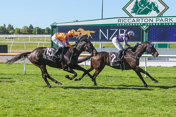 Sir Albert with Leah Hemi aboard wins the Listed Pavilion Now Open Spring Classic (2000m) for the second successive year - Photo: Race Images South