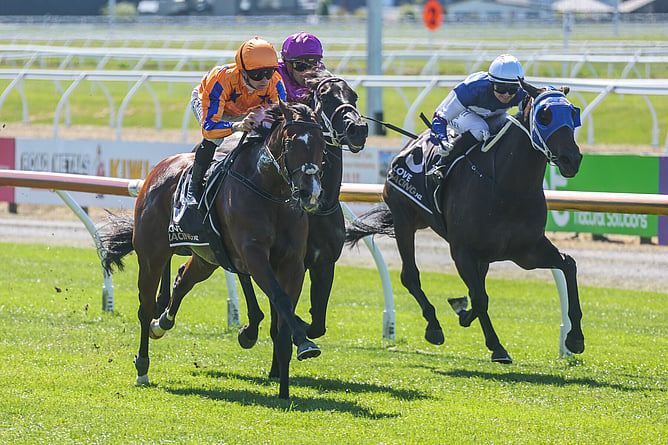 Wiremu Pinn has the situation well in control as he guides Sword Of Stars (middle) to victory in the Gr.3 War Decree Stakes (1400m) at Riccarton. - Photo: Race Images South