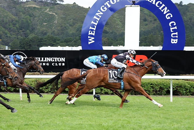 Tisse (nearest camera) arrives late to beat The Scunner in the Gr.3 Gee & Hickman Thompson Handicap (1600m) at Trentham.    - Photo: Peter Rubery (Race Images)