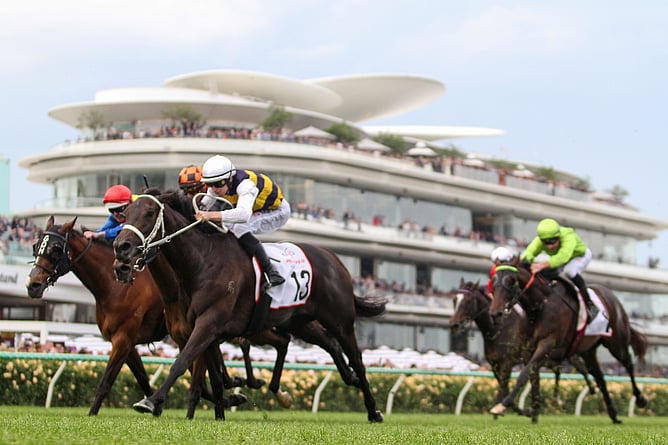 Soverato heads home a New Zealand-bred trifecta in Saturday’s A$300,000 Gr.3 Powerflo Solutions Tesio Stakes (2040m) at Flemington. - Photo: ultimateracingphotos.com.au