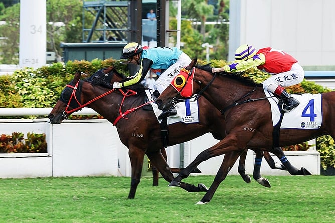 Raging Blizzard defeats Ka Ying Attack and Crimson Flash at Sha Tin.  - Photo: HKJC