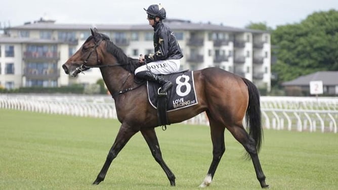 Coniston returns victorious following Monday's Gr.2 James & Annie Sarten Memorial (1400m) at Te Rapa. - Photo: Kenton Wright (Race Images)