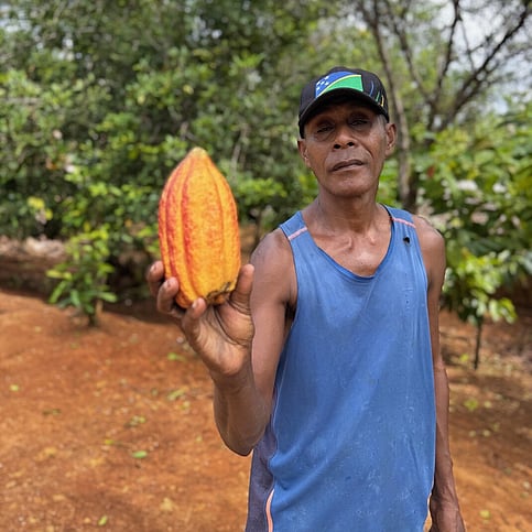 farmer with cocoa pod