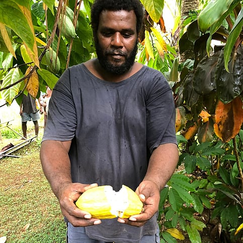 cacao farmer
