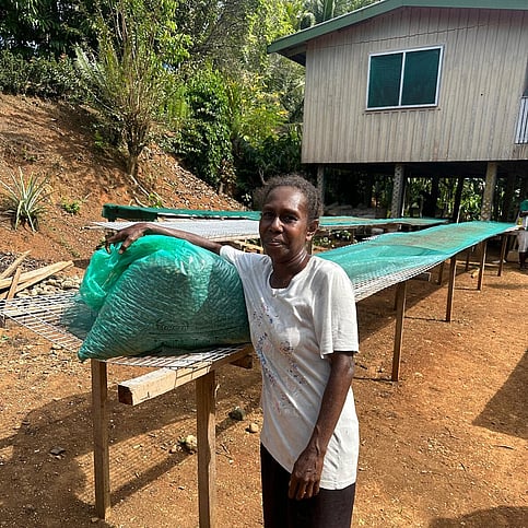 Cacao farmer