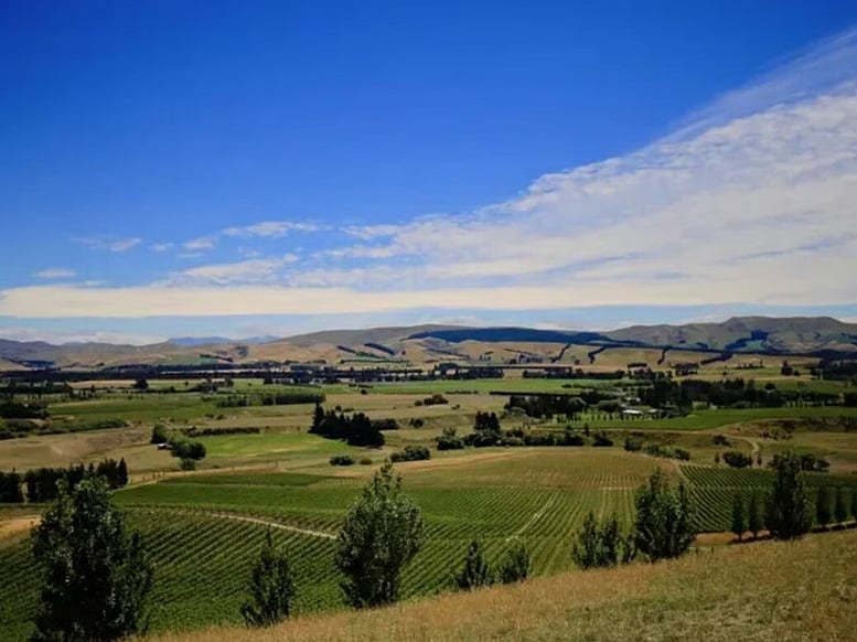 Vineyards and hills of the Waipara Valley